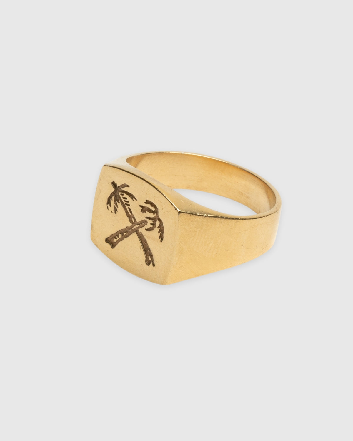 Palms Signet Ring - 14k Solid Gold