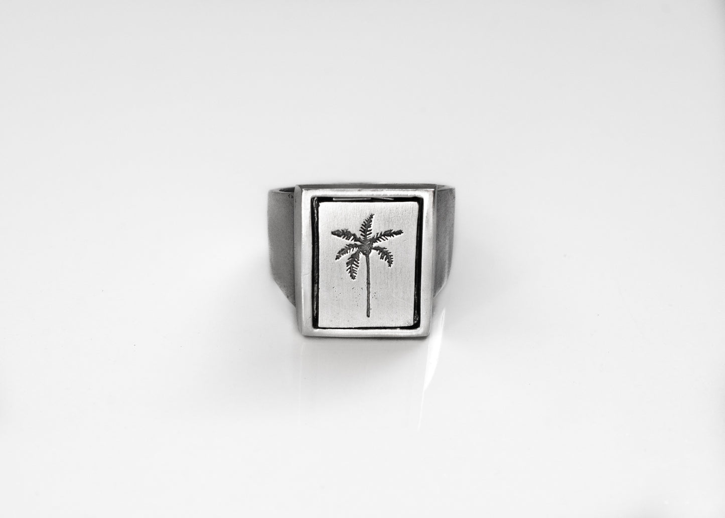 Rectangle - Selva Palm