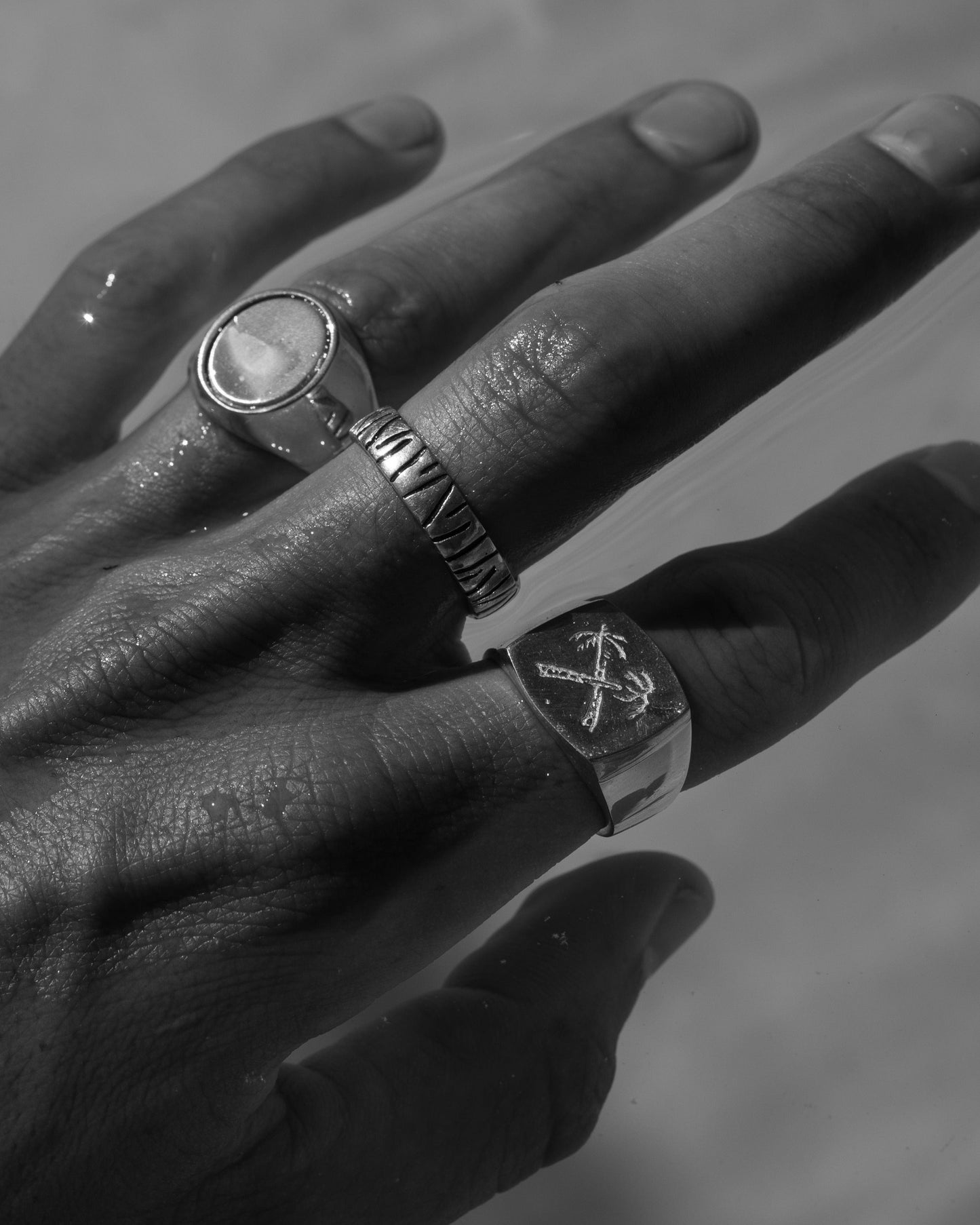 Palms Signet Ring - 14k Solid Gold