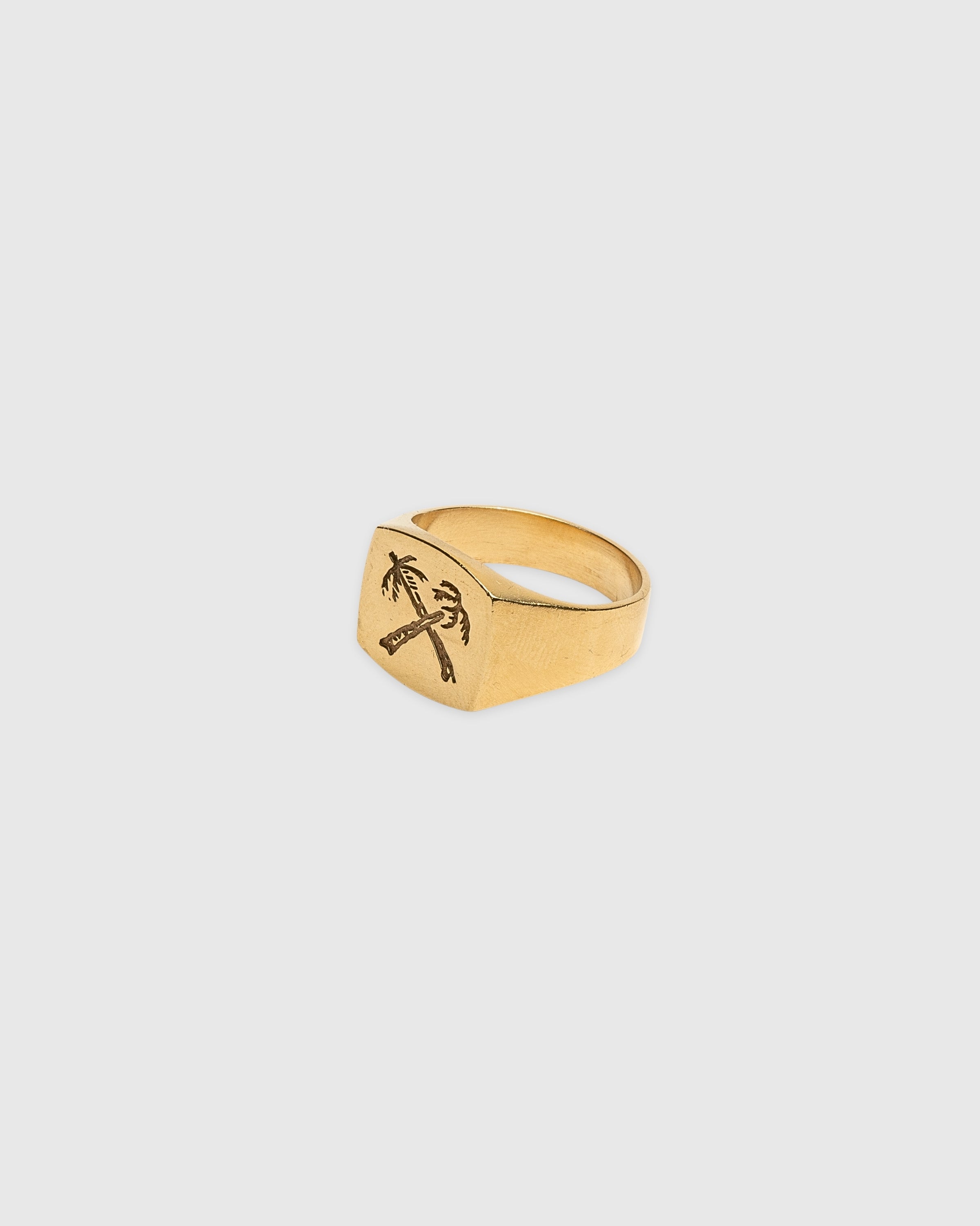 Palms Signet Ring - 14k Solid Gold