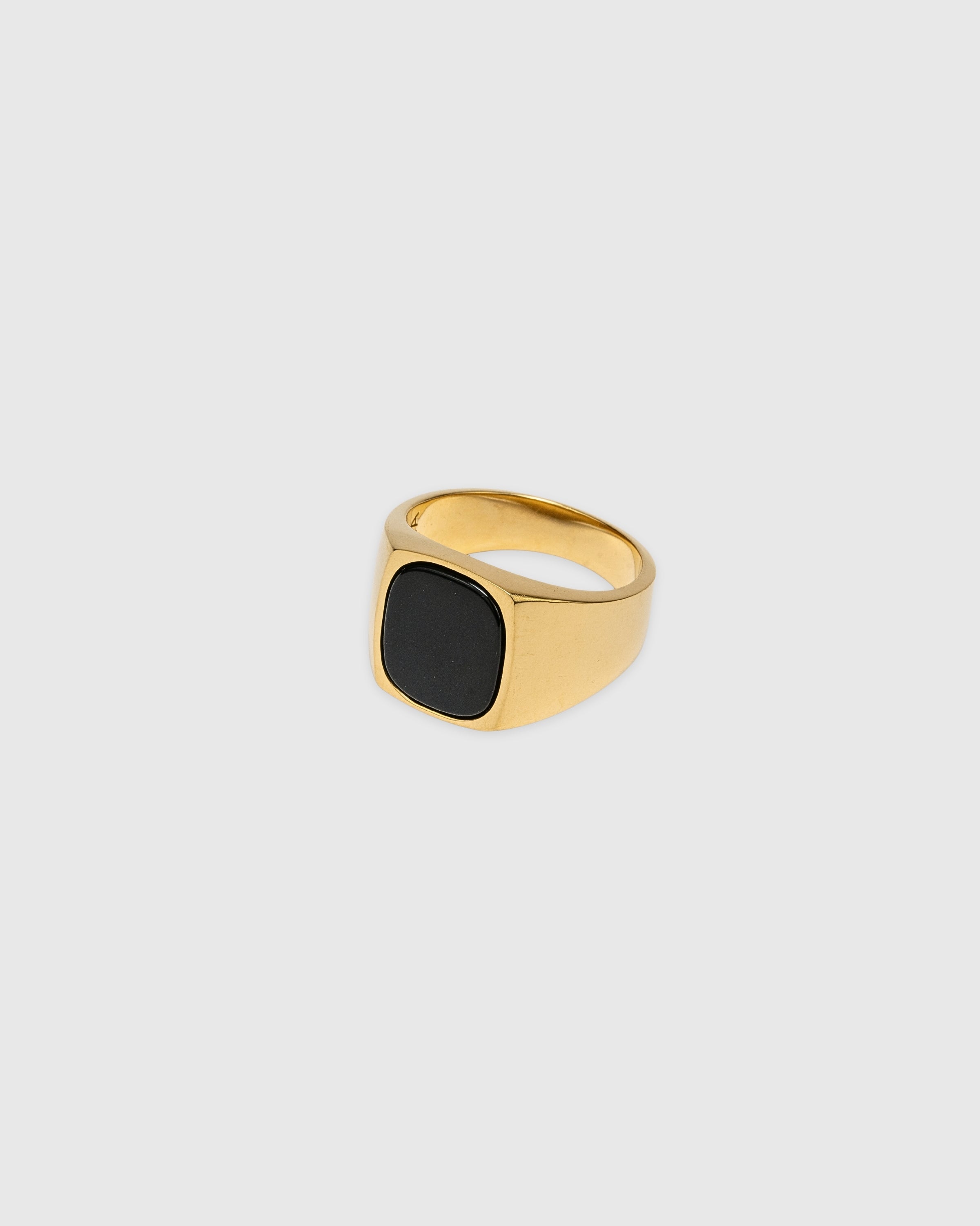 Hudson Onyx Signet Ring - 14k Solid Gold