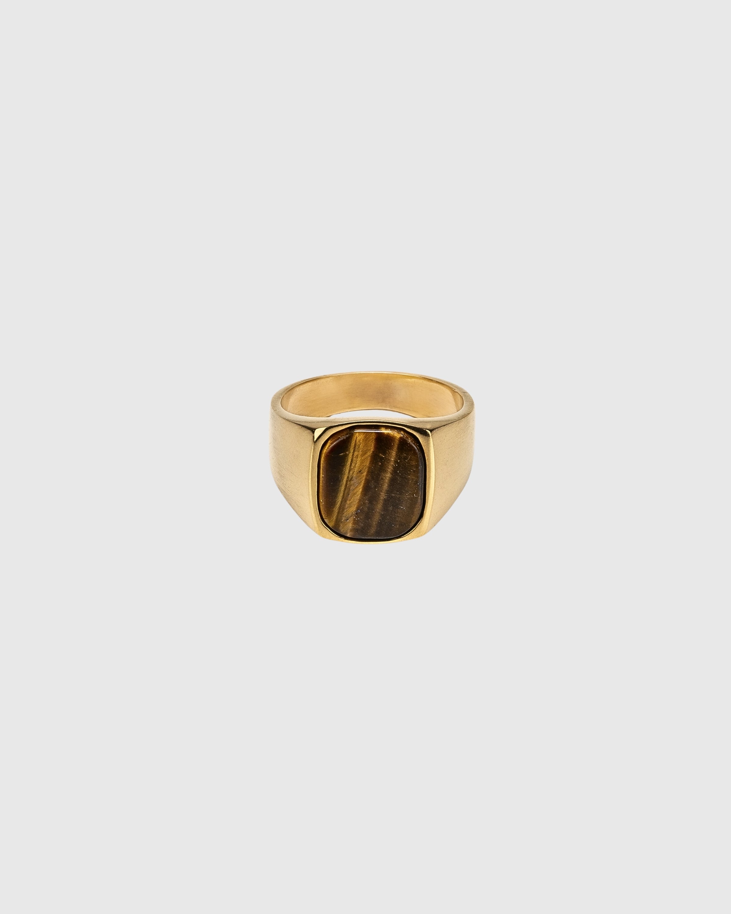 Hudson Tiger's Eye Signet Ring - 14k Solid Gold