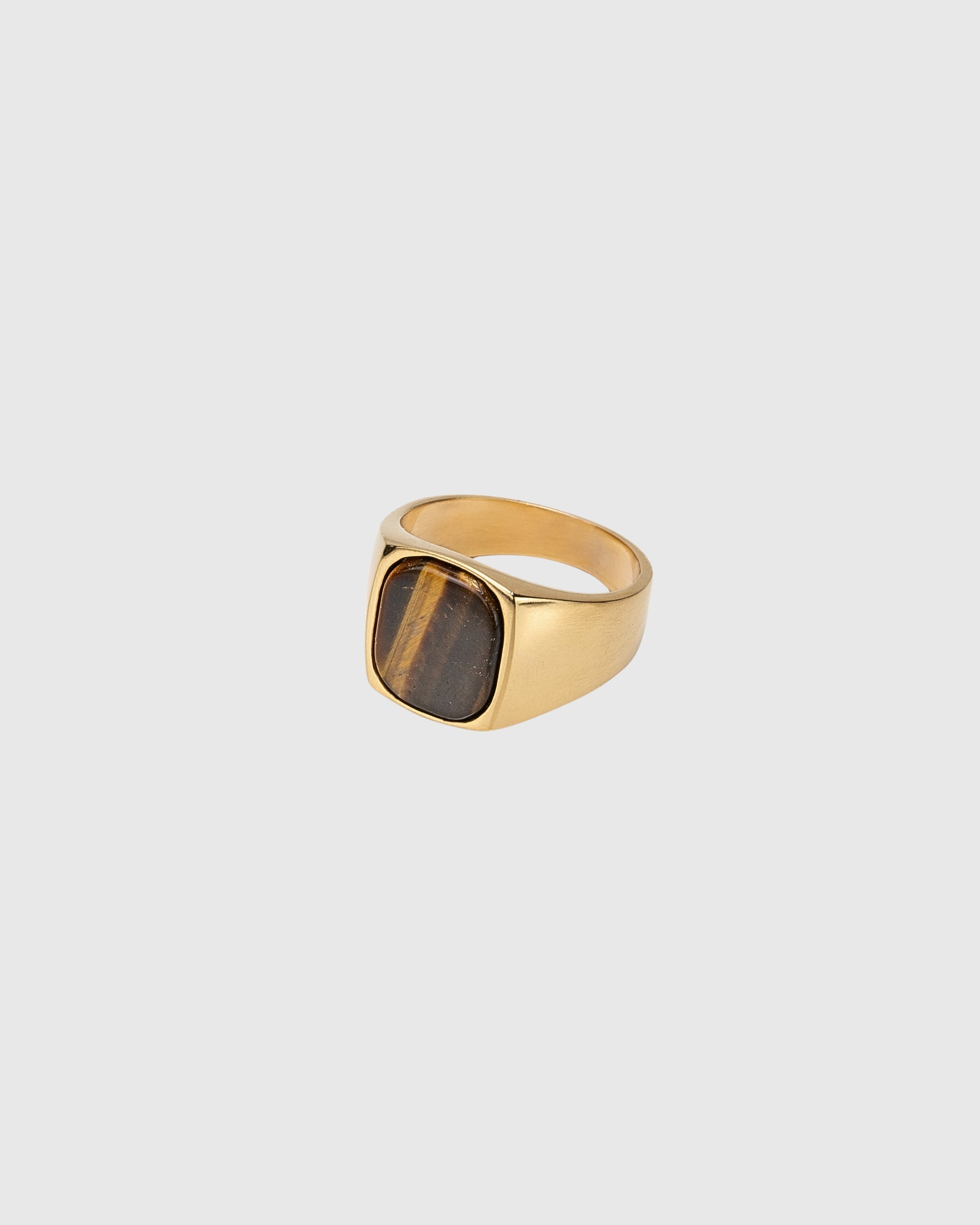 Hudson Tiger's Eye Signet Ring - 14k Solid Gold