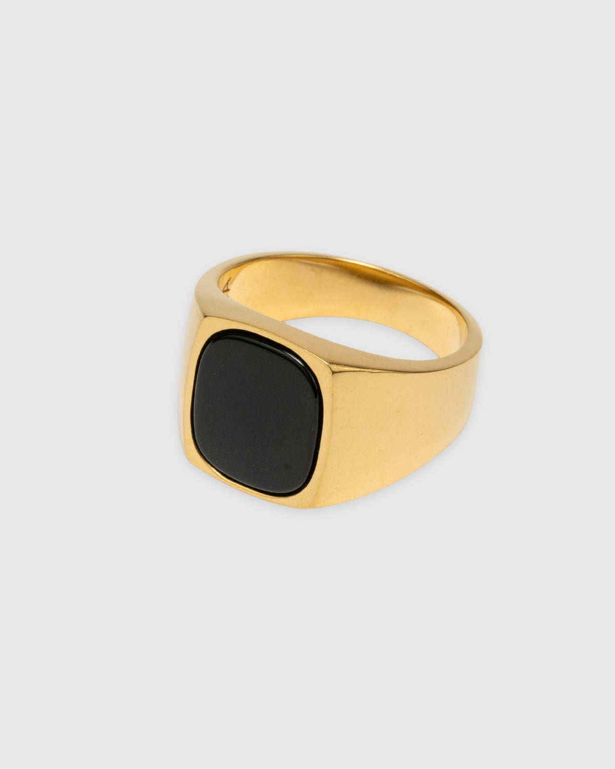 Hudson Onyx Signet Ring - 14k Solid Gold