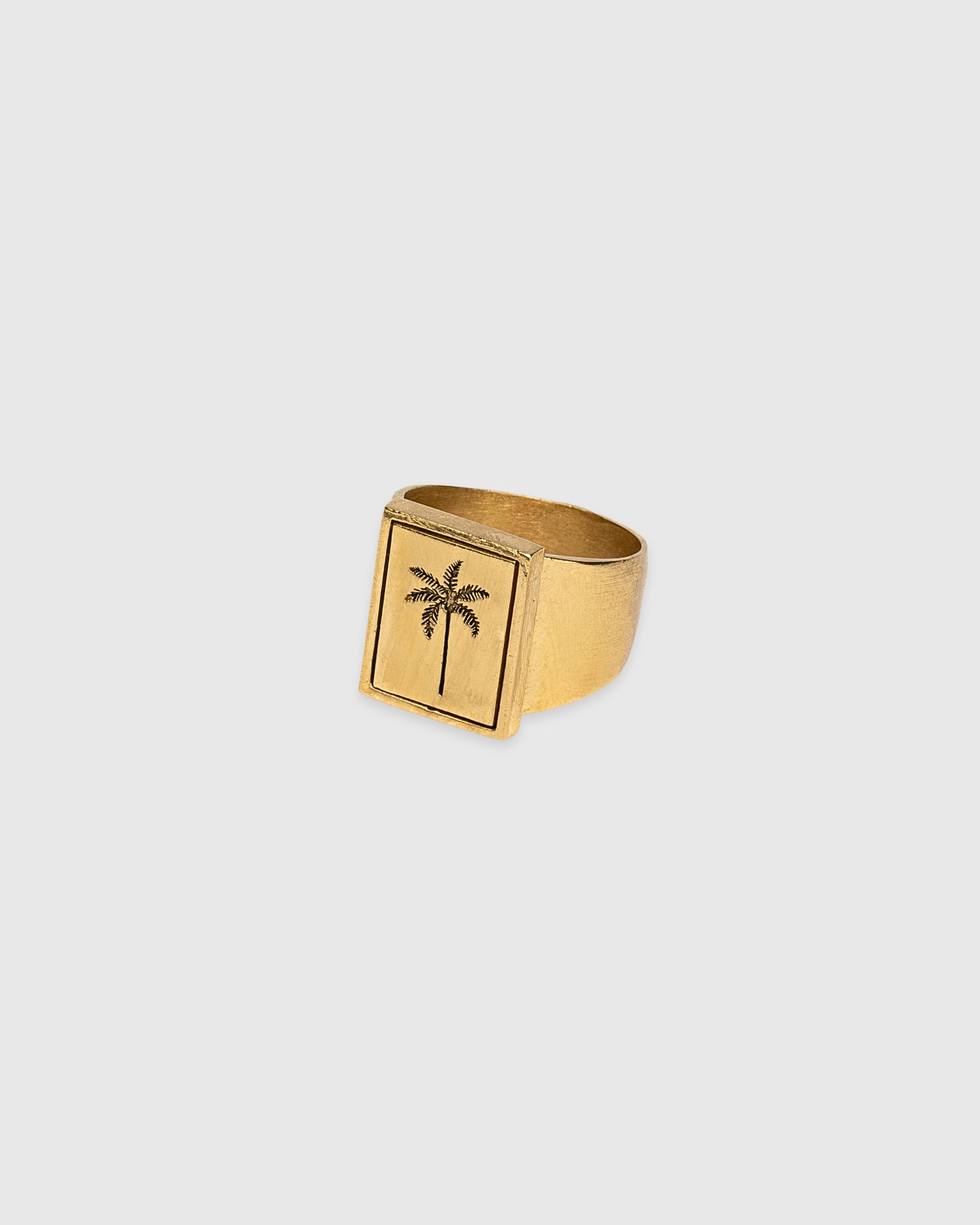 Rectangle Selva Palm Signet Ring
