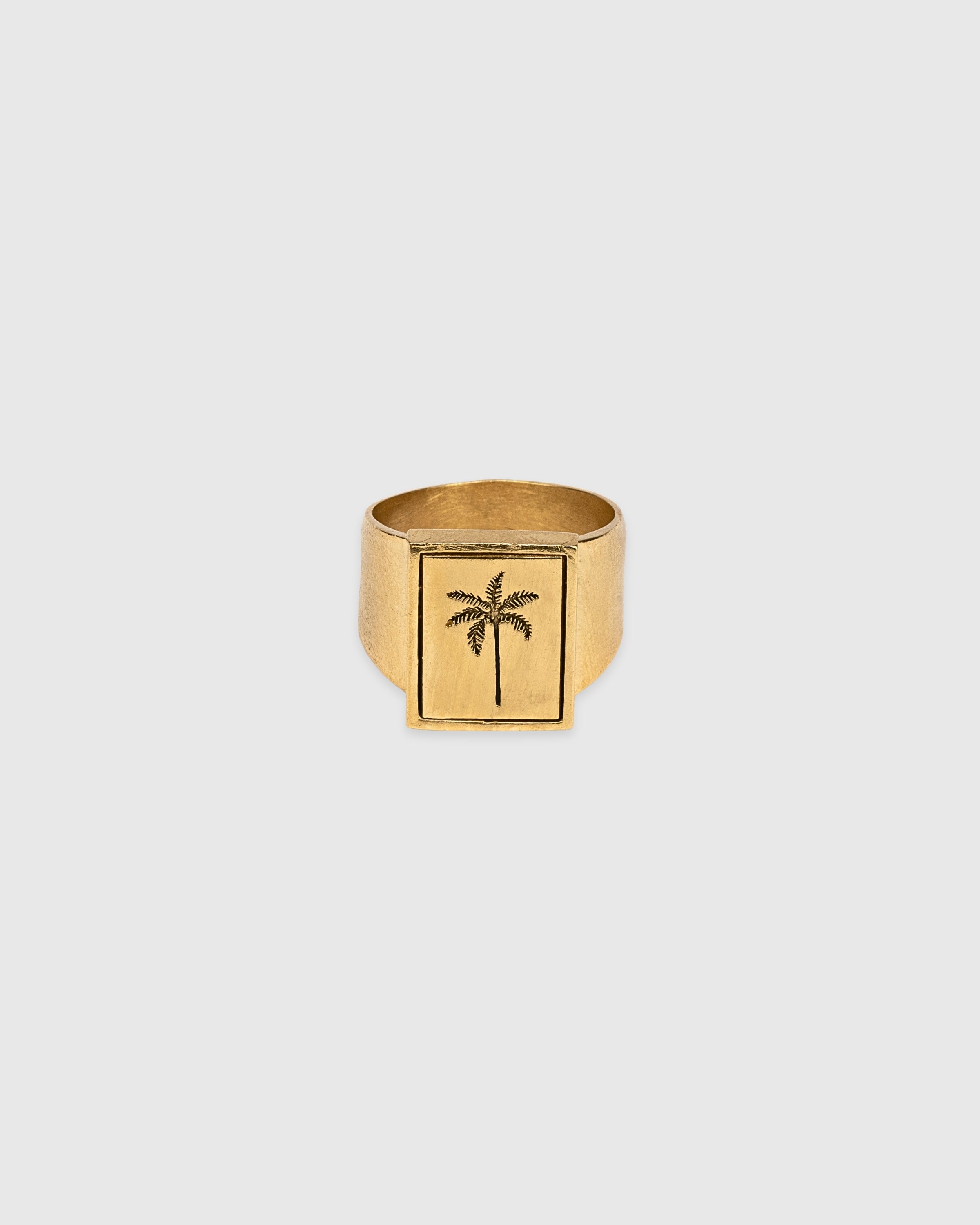 Rectangle Selva Palm Signet Ring